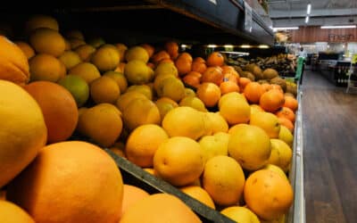 Hollywood Grocery Stores: What to Look for in Fresh Bakery Items (Bread, Cakes & More)