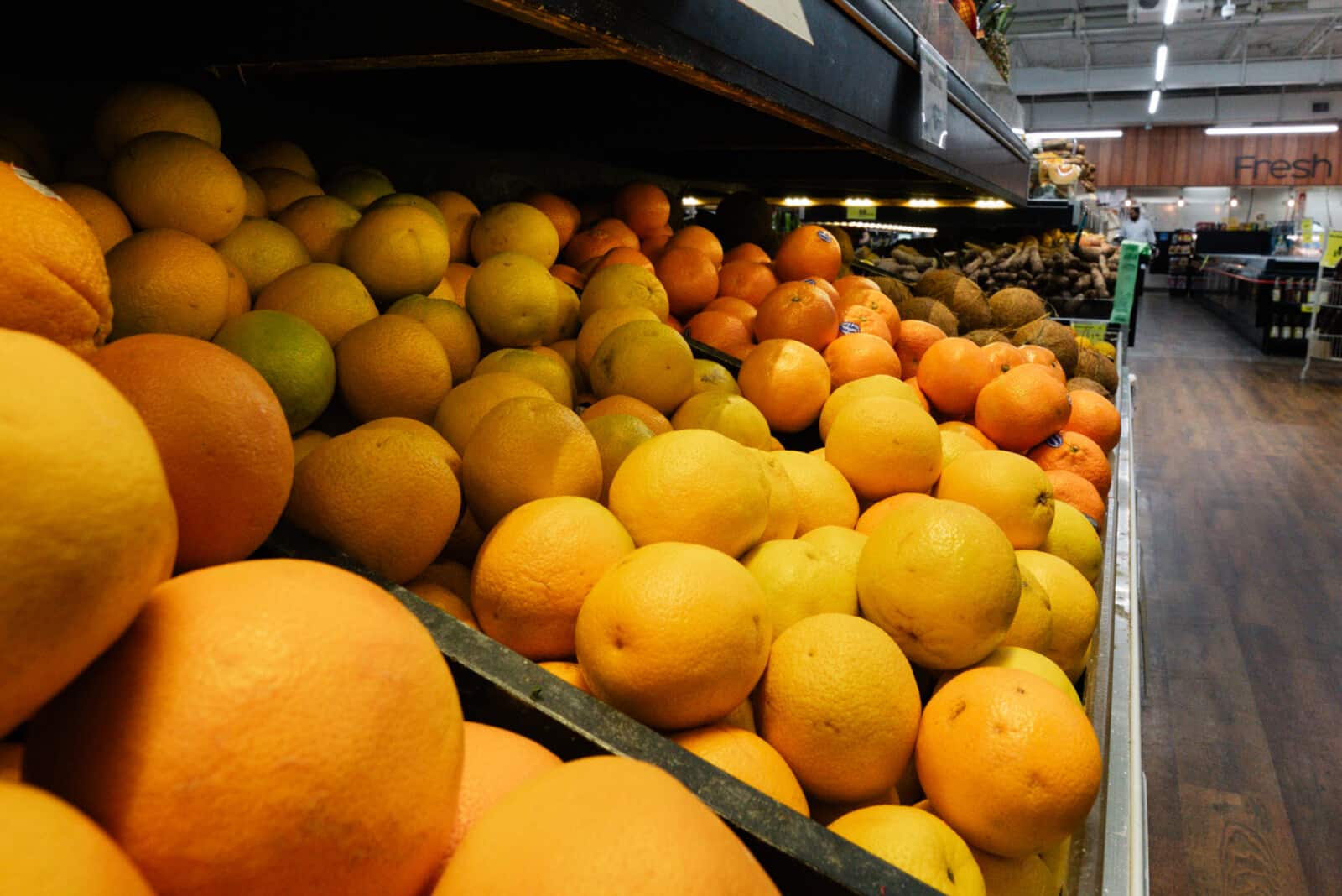 hollywood grocery stores