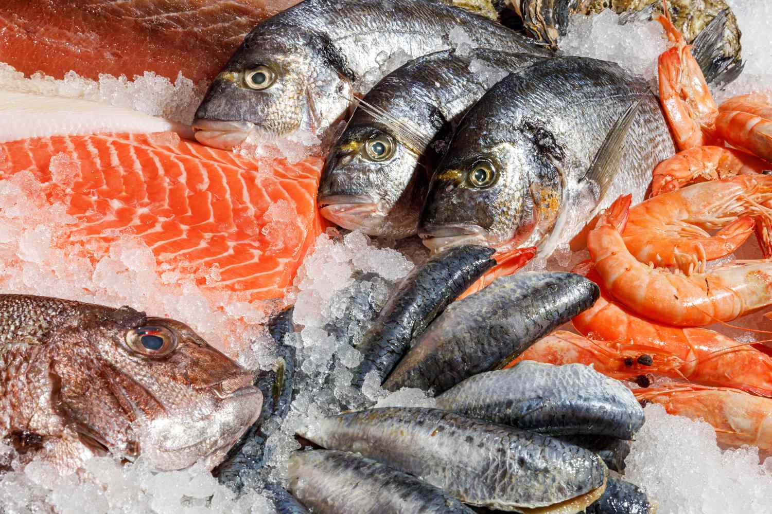 fresh fish hollywood fl