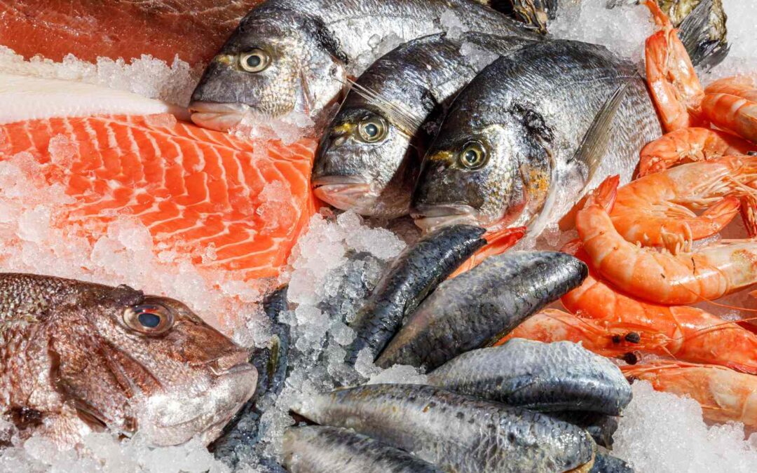 Assorted seafood on crushed ice: salmon fillets, whole fish, and pink shrimp at a market display.