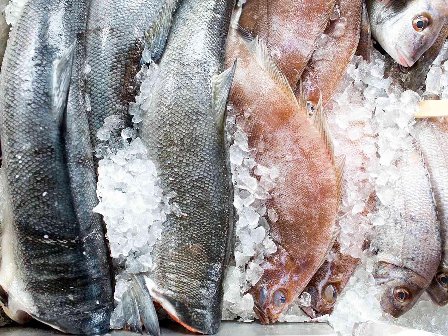 Fresh whole fish on crushed ice at a seafood market, stacked in rows and ready for sale.