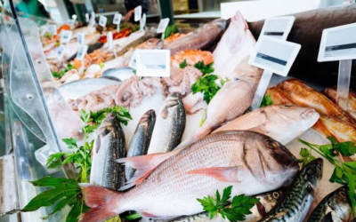 Lent and Holy Week Fish Shopping Guide: What to Buy at Hollywood, FL Fish Markets