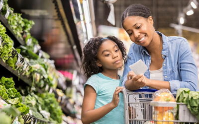 A Local’s Guide to Hollywood, FL Grocery Shopping for New Residents