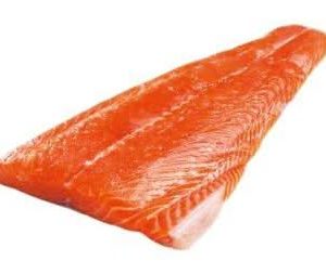 Salmon