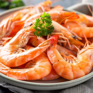 Plate of cooked pink shrimp garnished with a sprig of parsley on a gray dish.